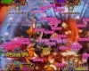Ocean King 2, Ocean Monster Plus Arcade Machine, Video Redemption, Screenshot
